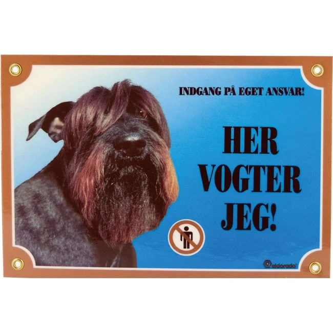 Her vogter jeg skilt med Schnauzer